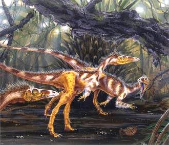 Compsognathus longipes  = 