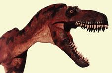 Род: Albertosaurus (Gorgosaurus) = Альбертозавр