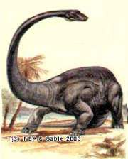 Род: Diplodocus † Marsh, 1878 = Диплодоки