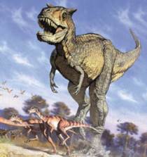 Carnotaurus sastrei † Bonaparte, 1985 = Карнотаурус