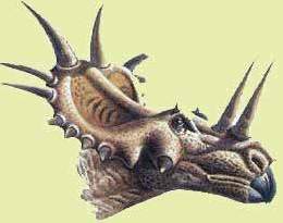 Triceratops † Marsh, 1889 = Трицератопс