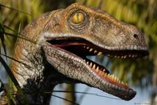  Velociraptor Велоцираптор Фото