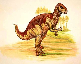 Camptosaurus †  = Камптозавр