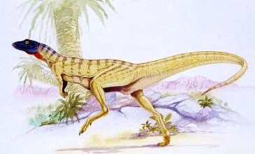 Lesothosaurus diagnosticus вЂ  = Р›РµСЃРѕС‚РѕР·Р°РІСЂ