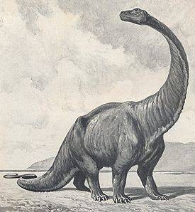gigantosaurus Вид: Gigantosaurus megalonyx † = Гигантозавр (=Пелорозавр)